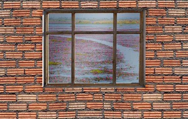 windows frame on cement wall and view of lotus lake