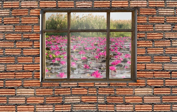 windows frame on cement wall and view of lotus lake