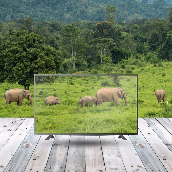 modern lcd monitor on wood table with display concept