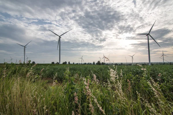 Windräder zur Stromerzeugung. Energiesparkonzept — Stockfoto © kampee_p