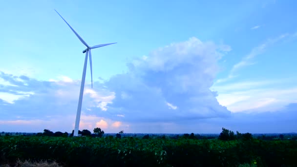 Rüzgar Çiftliği. Elektrik üreten Rüzgar türbinleri. enerji koruma kavramı — Stok video