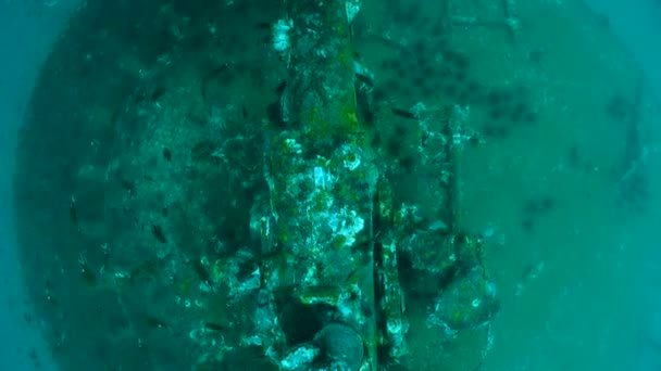 Adam ztroskotání v Chumphonu potápěčské lokalitě, Thajsko. — Stock video