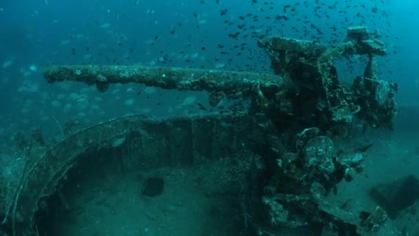 PRAB shipwreck in Chumphon dive site, Thailand. — Stock Video