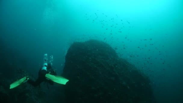 Arrecife y vida marina en el sitio de buceo Chumphon, Tailandia . — Vídeos de Stock