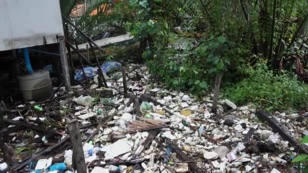 Basura en la orilla en manglares, Samut Prakan, Tailandia . — Vídeos de Stock