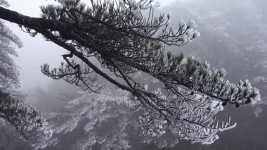 güzel sahne üzerinde Huangshan, Çin