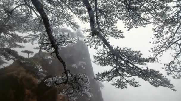 Güzel sahne üzerinde Huangshan, Çin — Stok video