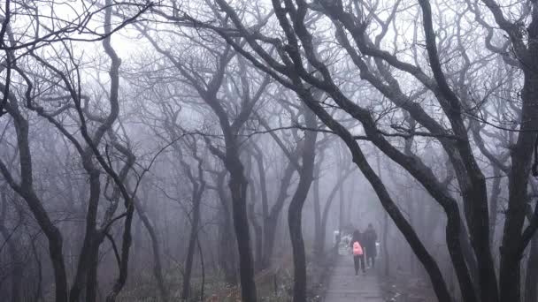 Schöne Landschaft auf Huangshan, China — Stockvideo