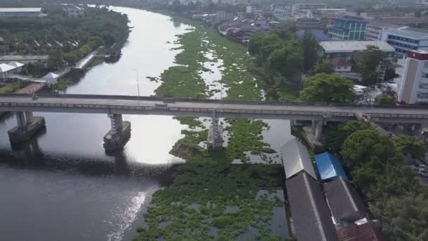 Vodní hyacint pokrývají řeka v Thajsku — Stock video