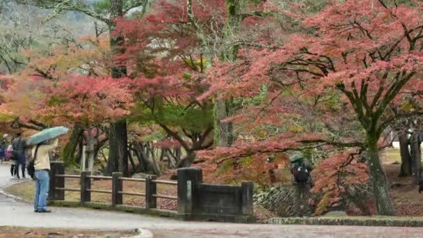 Prefeitura de Nara localizada na região de Kansai, Japão. coletivamente formar "Monumentos Históricos da Antiga Nara", um Patrimônio Mundial da UNESCO . — Vídeo de Stock