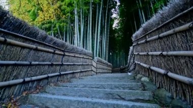 Japonya, Kyoto 'daki Arashiyama Bambu Ormanı 