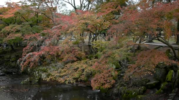 Nara-präfektur in der kansai-region japans. kollektiv bilden "historische Denkmäler der antiken nara", ein UNESCO-Weltkulturerbe. — Stockvideo