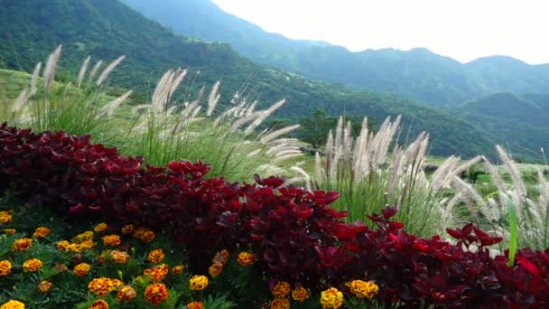 Zobacz punkt przyciągania Khaoko i Phu z hydromasażem Berg, Phetchabun, Tajlandia. — Wideo stockowe