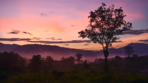 Kui Buri Nationaal Park Prachuap Khiri Khan provincie, Thailand — Stockvideo