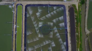 Karides çiftlikleri yukarıdan Sam ROI Yot, Tayland. 