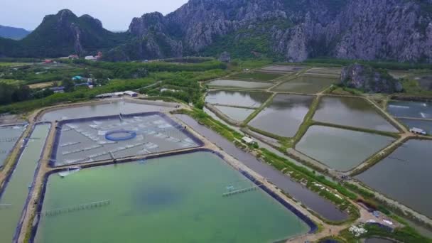 Granjas de camarones desde arriba en Sam Roi Yot, Tailandia . — Vídeo de stock