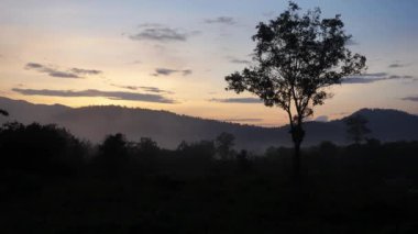 Kui Buri Milli Park Prachuap Khiri Khan il, Tayland 