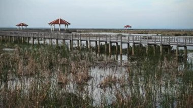 Khao Sam Roi Yot Ulusal Parkı, Tayland. 