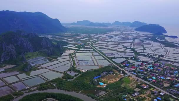 Granjas de camarones desde arriba en Sam Roi Yot, Tailandia . — Vídeo de stock