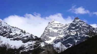 Siguniang Milli Parkı Sichuan Eyaleti 