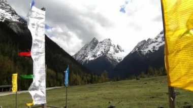 Siguniang Milli Parkı Sichuan Eyaleti 