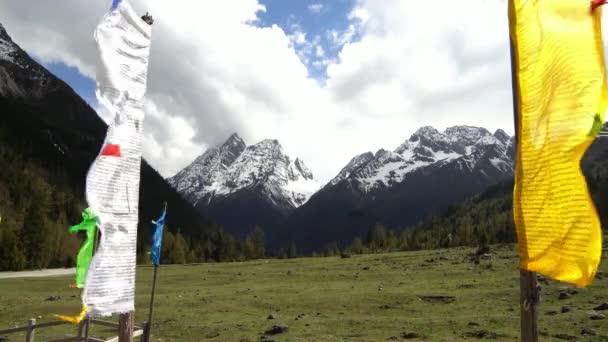 Siguniang-Nationalpark in der Provinz Sichuan — Stockvideo