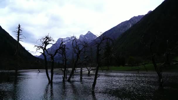 Siguniang nationaal park de provincie van Sichuan — Stockvideo