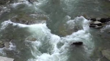 Siguniang Milli Parkı Sichuan Eyaleti 