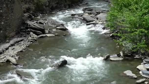 Siguniang nationaal park de provincie van Sichuan — Stockvideo