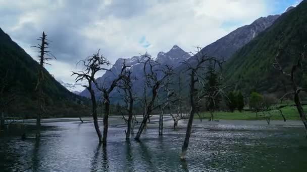 Siguniang nationaal park de provincie van Sichuan — Stockvideo