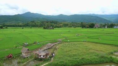 Teras alanı, Wat Pua, Nan Eyaleti, Tayland Phuket çevresinde Dağı'nda güzel bir doğal güzellik pirinç 