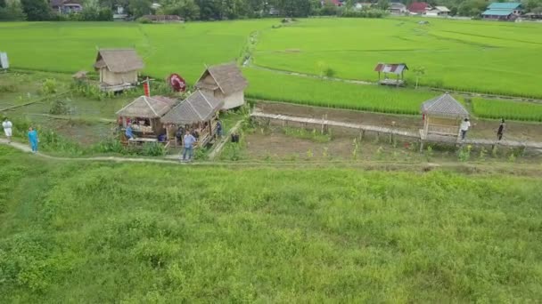 Terraços campo de arroz, uma bela beleza natural na montanha em torno de Wat Phuket em Pua, Província de Nan, Tailândia — Vídeo de Stock