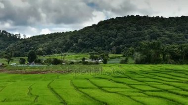 Pa bong Pieng, Mae Chaem, Chiang Mai, Tayland 'daki pirinç tarlaları. 