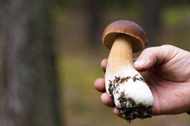 beyaz mantar elinde tutan adam 