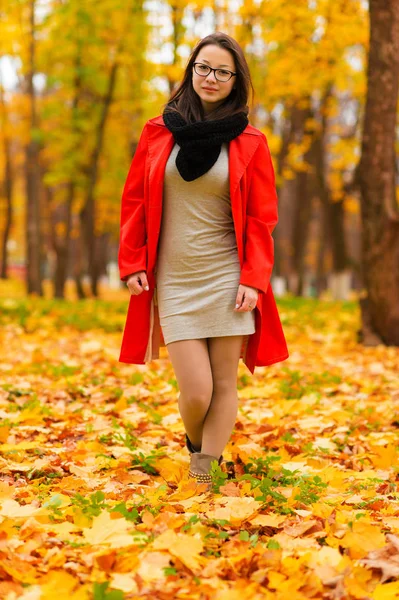 Bella ragazza coreana snella nella foresta autunnale — Foto Stock