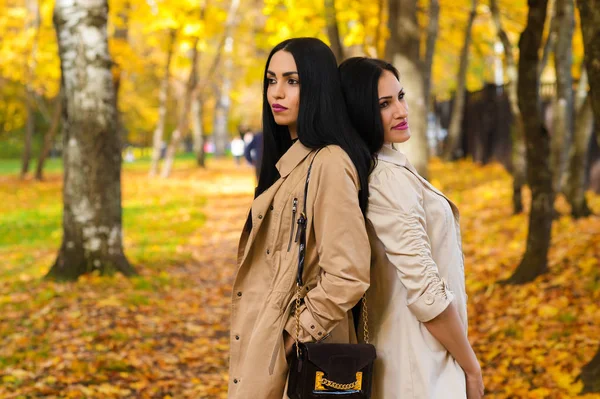 Two attractive girlfriends in autumn park — Stock Photo, Image