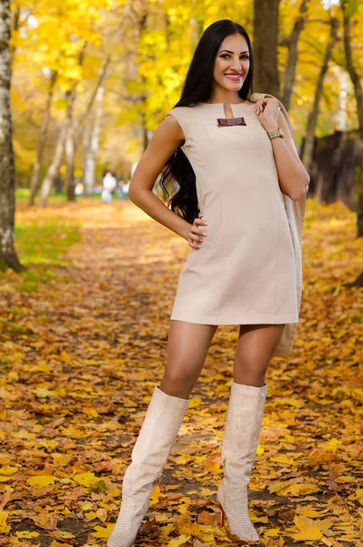 Elegante donna sullo sfondo del parco autunnale — Foto Stock