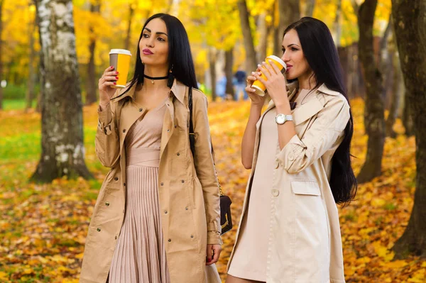 Bruna amiche bere caffè autunno parco — Foto Stock