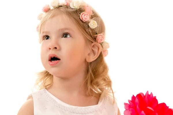 Portrait Surprised Charming Girl Rim Head — Stock Photo, Image