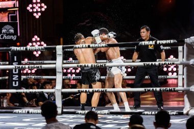 Tayland ve Youssef Boughanem Tay dövüş 2016 yılında Belçika Saiyok Pumphanmuang rüzgarlı spor