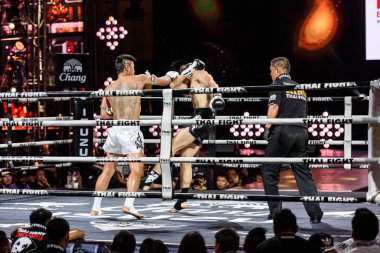 Tayland Sudsakorn Sor.Klinmee ve Antoine Pinto Tay Fransa 2016 mücadele