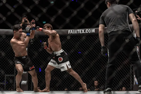 Küçük Tyson. Tayland 'dan Yodsanan Sityodtong ve Endonezya' dan Dodi 'Maung' Mardian bir şampiyonada 'Dünyanın Savaşçısı'