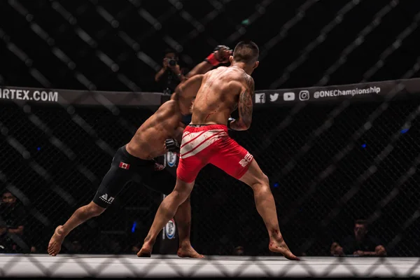 Bibiano Fernandes de Brasil y Martin Nguyen de Australia en One Championship: IRON WILL —  Fotos de Stock