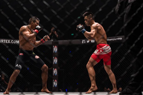 Bibiano Fernandes från Brasilien och Martin Nguyen av Australien i One Championship: järn kommer Stockfoto