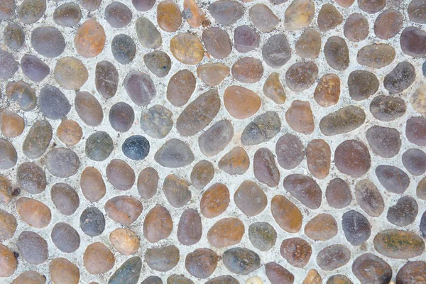 Fundo abstrato com pedras reeble redondas secas — Fotografia de Stock