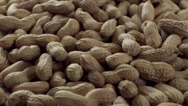 Cacahuetes Con Conchas Girando — Vídeo de stock