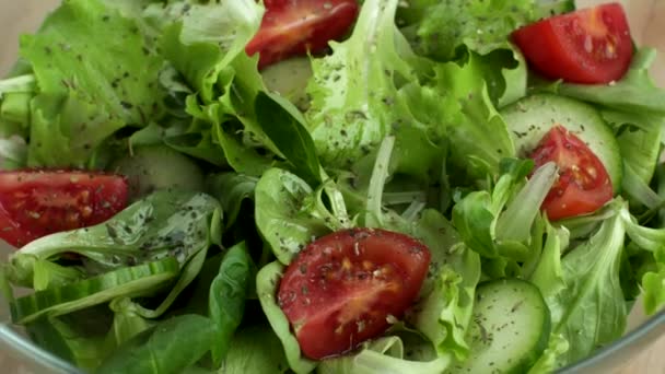 Färska Grönsaker Sallad Från Tomater Cucumbars Och Sallad Saltade — Stockvideo