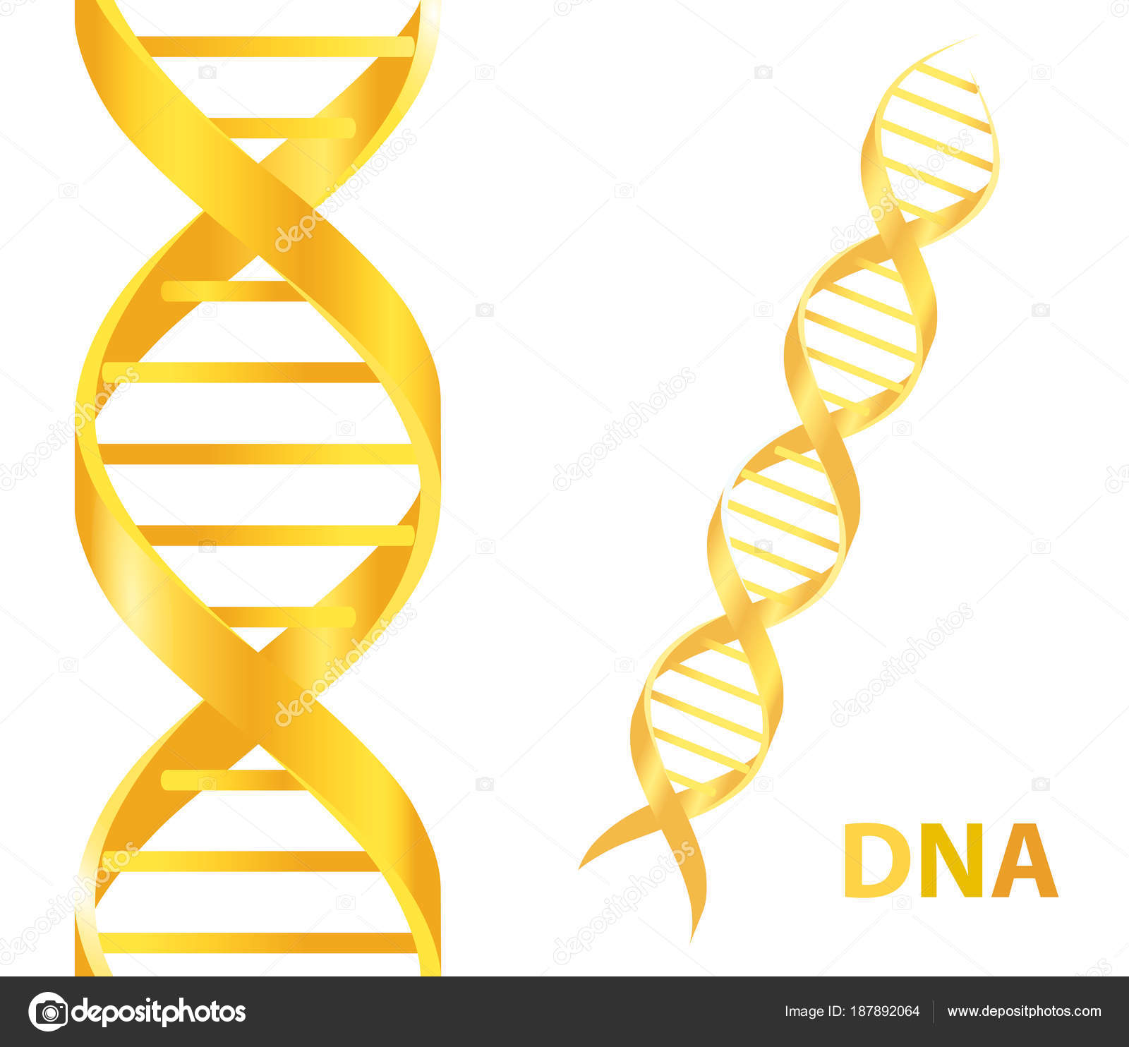 Dating dna netværk