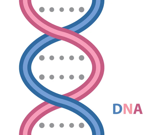 Kreslená ikona DNA — Stockový vektor