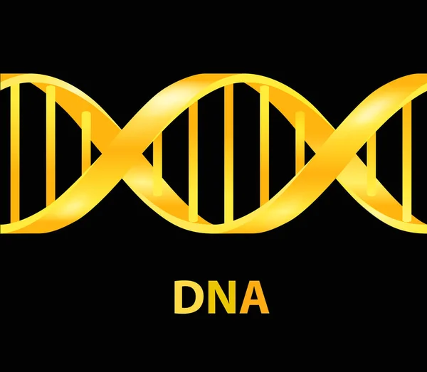 Золотая ДНК. Векторная иллюстрация на белом фоне — стоковый вектор